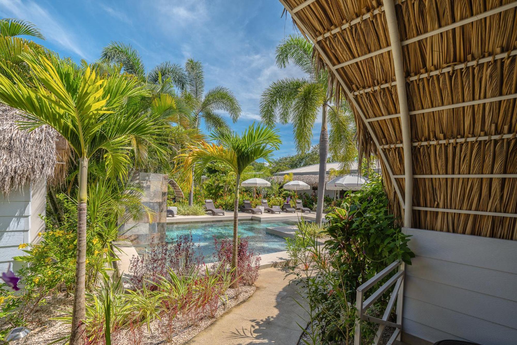 Les Voiles Blanches - Luxury Lodge Тамариндо Номер фото